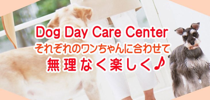 Dog Day Care 犬の保育園・幼稚園