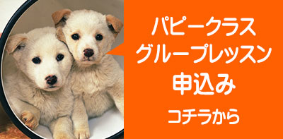 パピークラス・グループレッスン　申込み