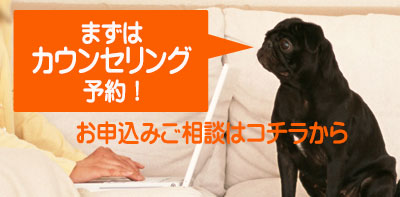 カウンセリング予約　申込み・ご相談